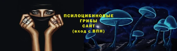 ECSTASY Абаза