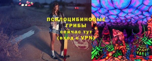 ECSTASY Абаза