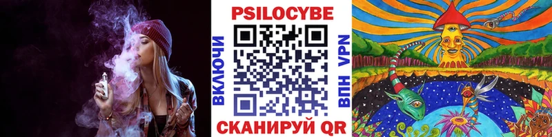 darknet телеграм  Яхрома  Псилоцибиновые грибы GOLDEN TEACHER 
